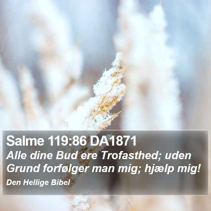 Salme 119:86 DA1871 Bible Study