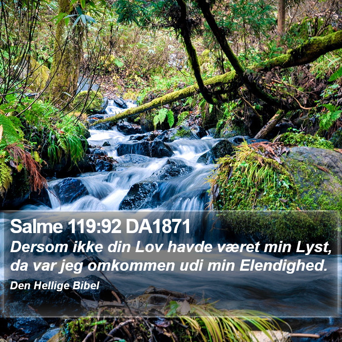 Salme 119:92 DA1871 Bible Study