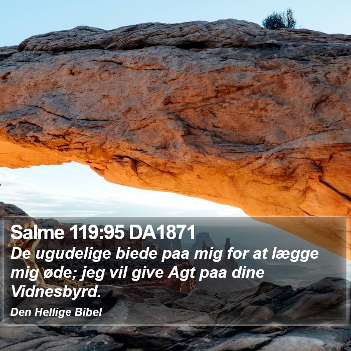 Salme 119:95 DA1871 Bible Study