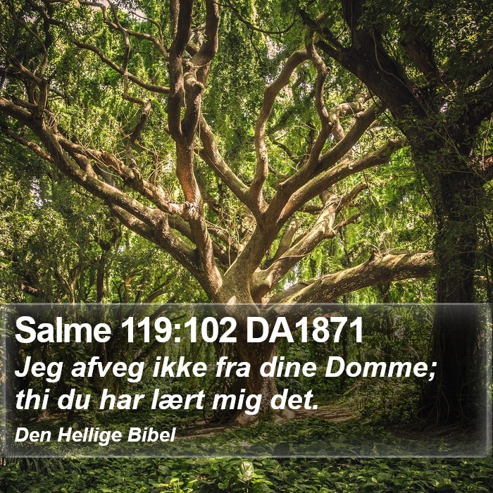 Salme 119:102 DA1871 Bible Study