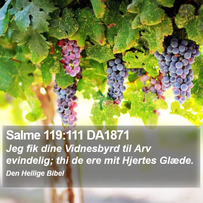 Salme 119:111 DA1871 Bible Study