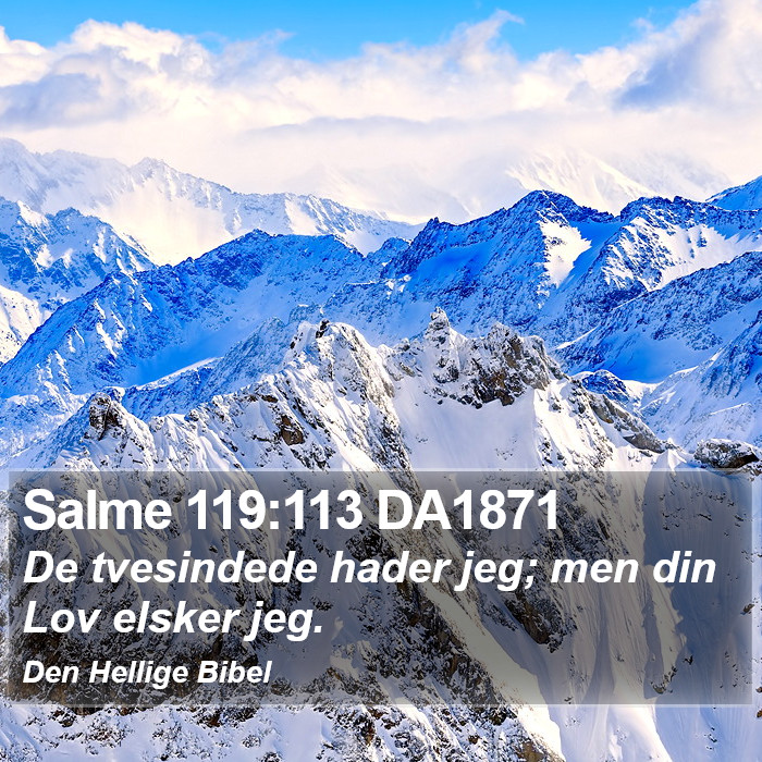 Salme 119:113 DA1871 Bible Study