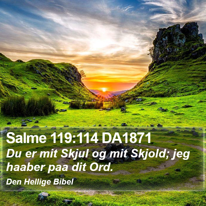 Salme 119:114 DA1871 Bible Study