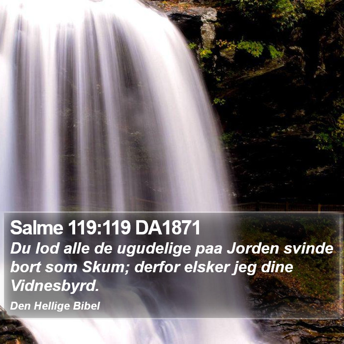 Salme 119:119 DA1871 Bible Study