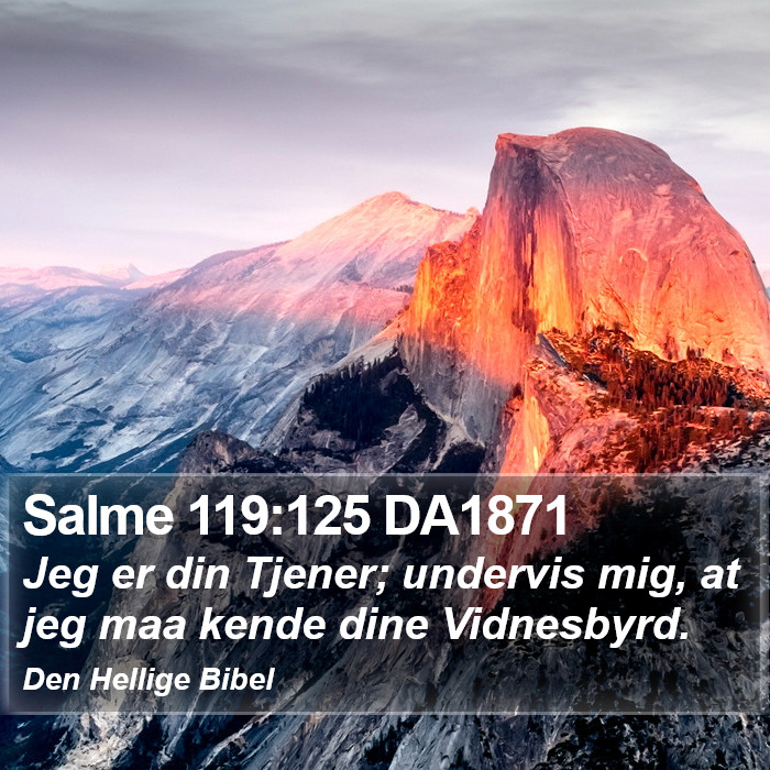 Salme 119:125 DA1871 Bible Study