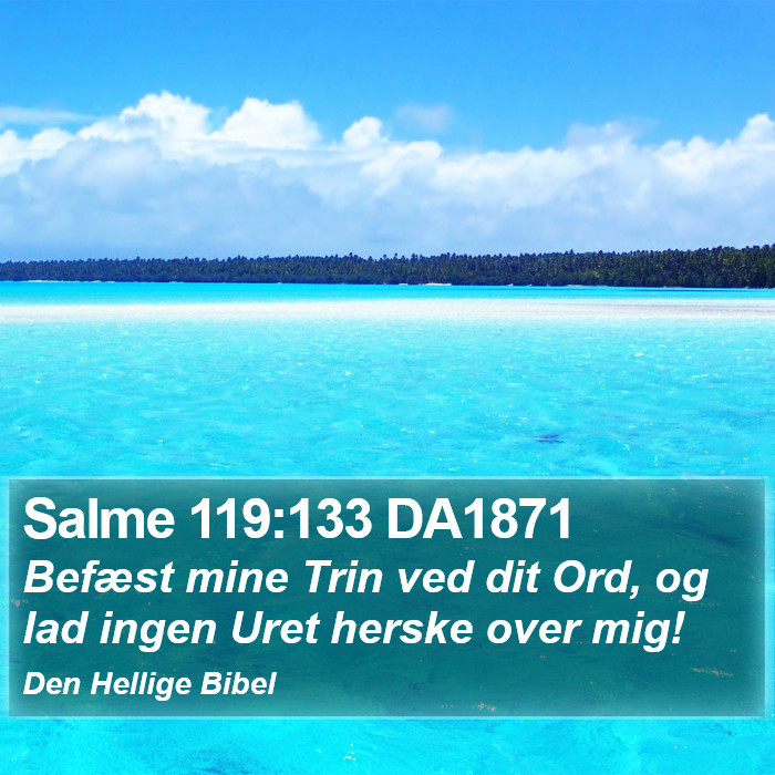 Salme 119:133 DA1871 Bible Study