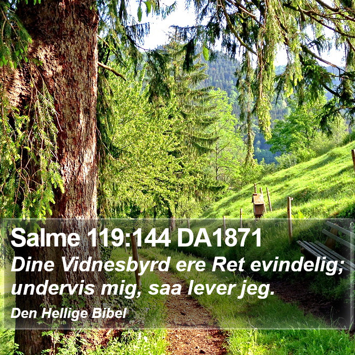 Salme 119:144 DA1871 Bible Study