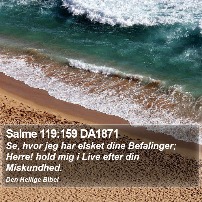 Salme 119:159 DA1871 Bible Study