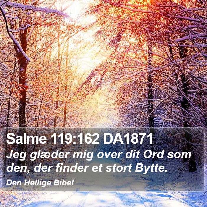 Salme 119:162 DA1871 Bible Study