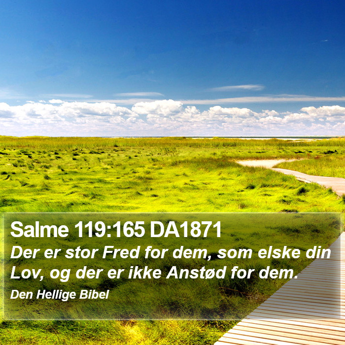 Salme 119:165 DA1871 Bible Study