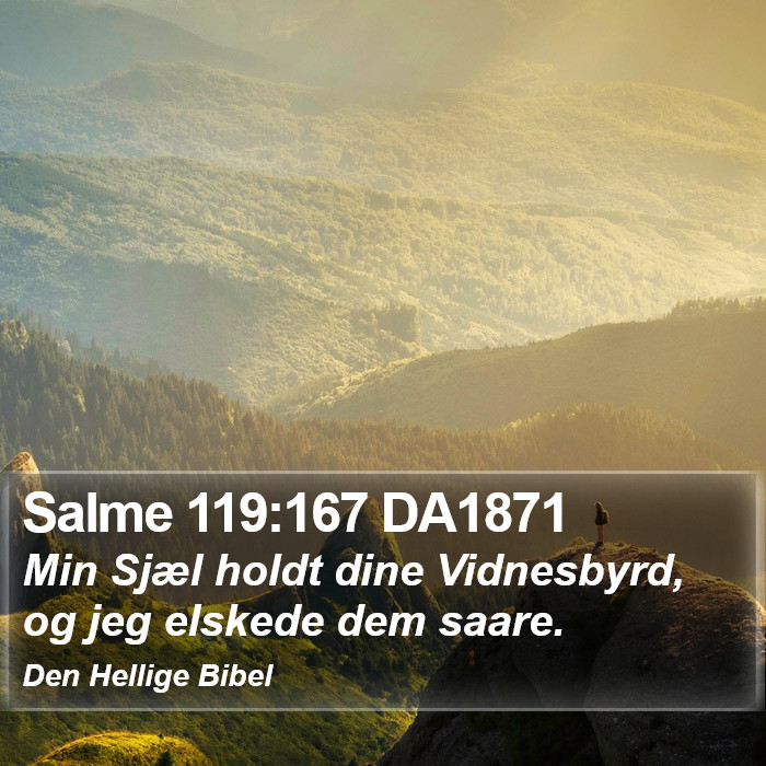 Salme 119:167 DA1871 Bible Study