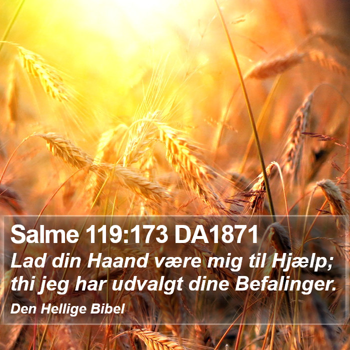 Salme 119:173 DA1871 Bible Study