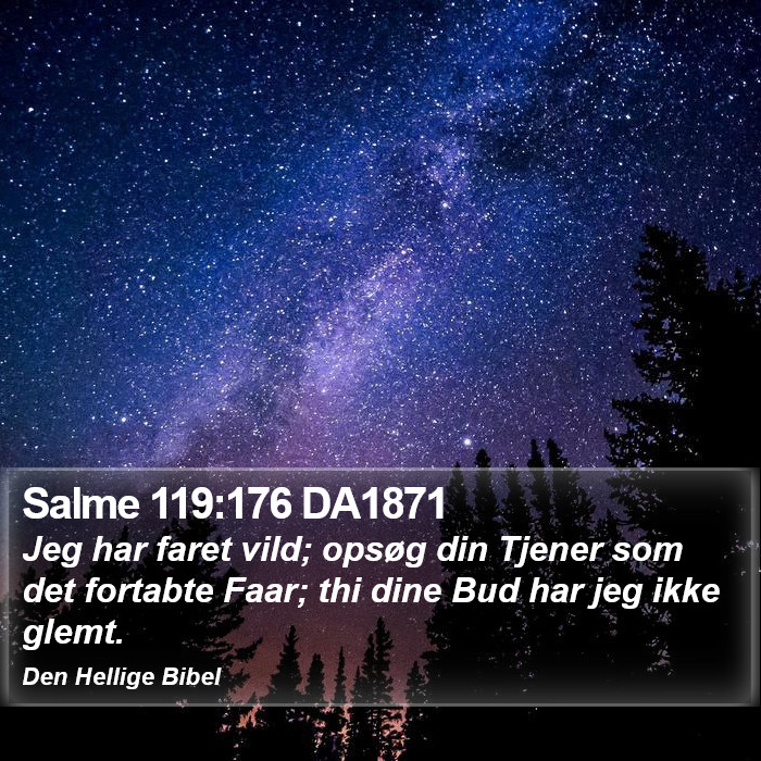 Salme 119:176 DA1871 Bible Study