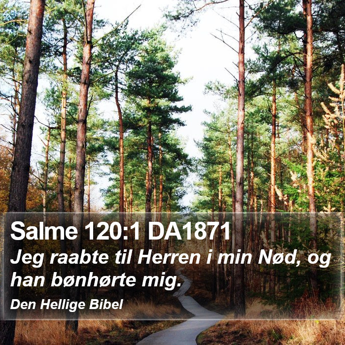 Salme 120:1 DA1871 Bible Study