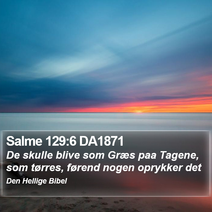 Salme 129:6 DA1871 Bible Study