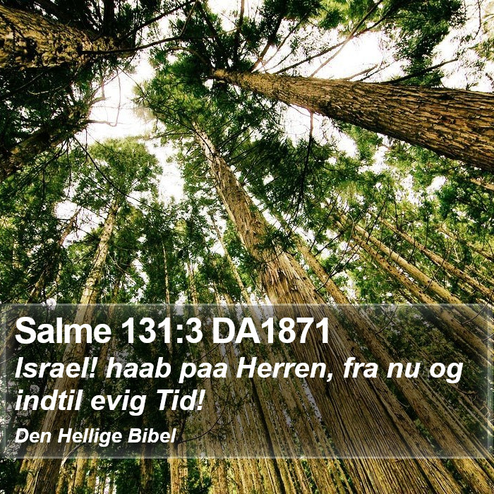 Salme 131:3 DA1871 Bible Study