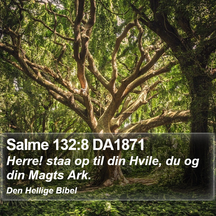 Salme 132:8 DA1871 Bible Study