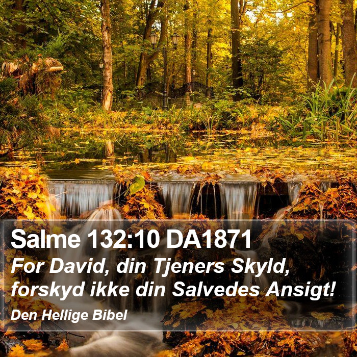 Salme 132:10 DA1871 Bible Study