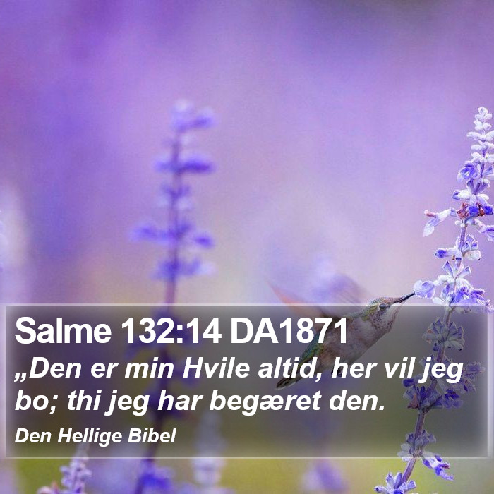 Salme 132:14 DA1871 Bible Study