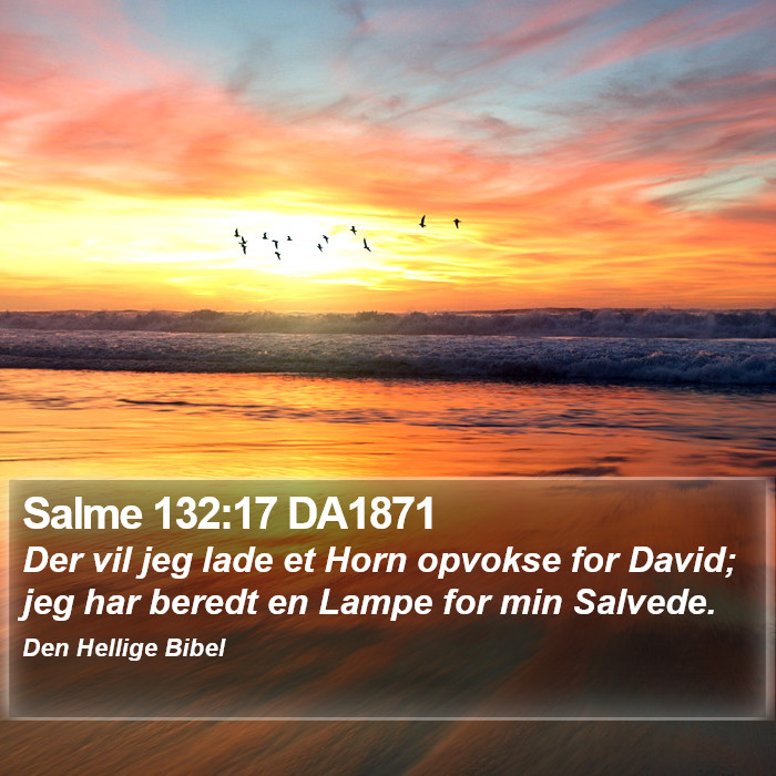 Salme 132:17 DA1871 Bible Study