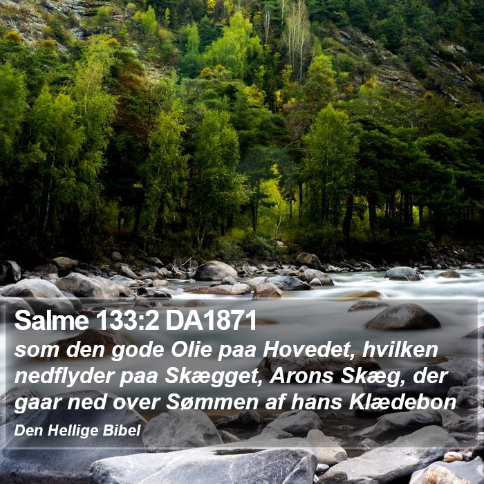 Salme 133:2 DA1871 Bible Study