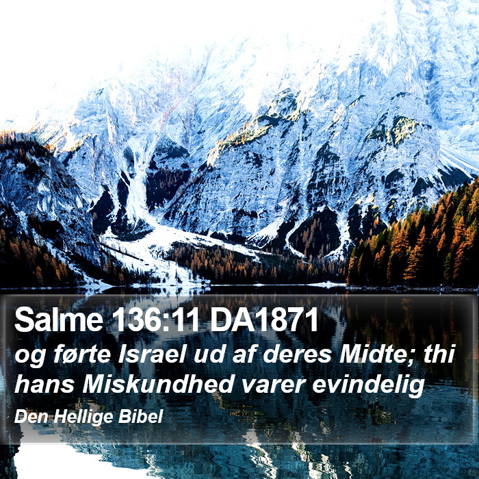 Salme 136:11 DA1871 Bible Study