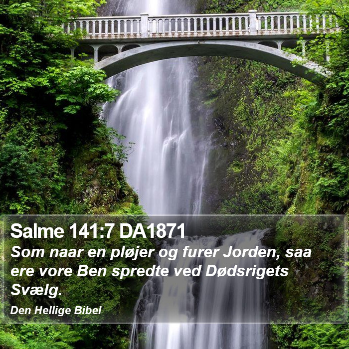 Salme 141:7 DA1871 Bible Study