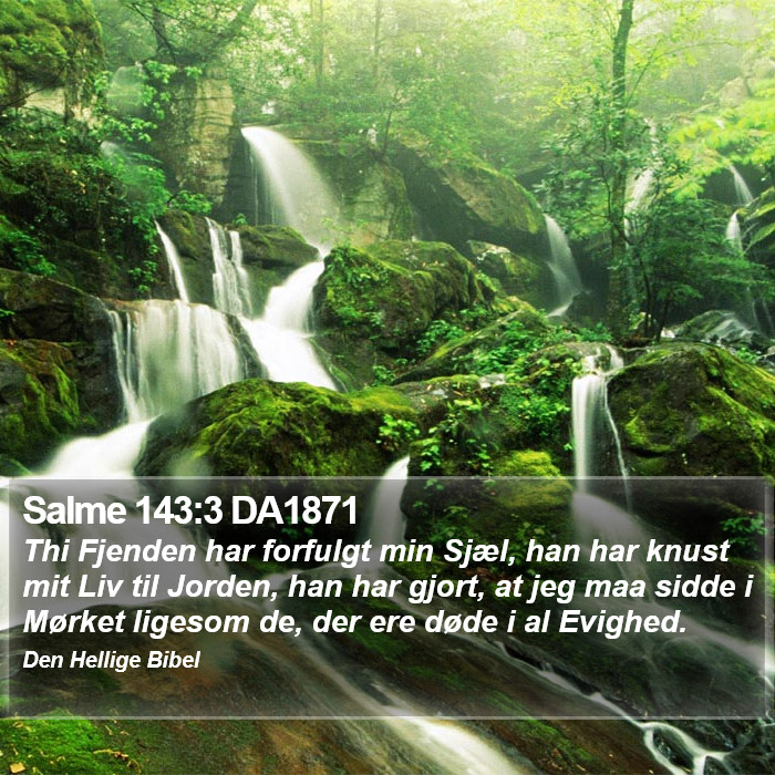 Salme 143:3 DA1871 Bible Study