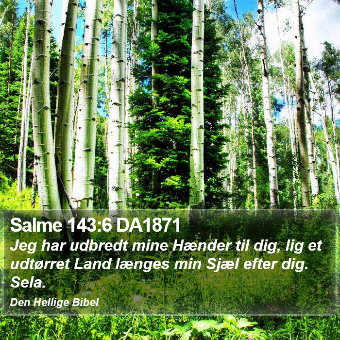 Salme 143:6 DA1871 Bible Study