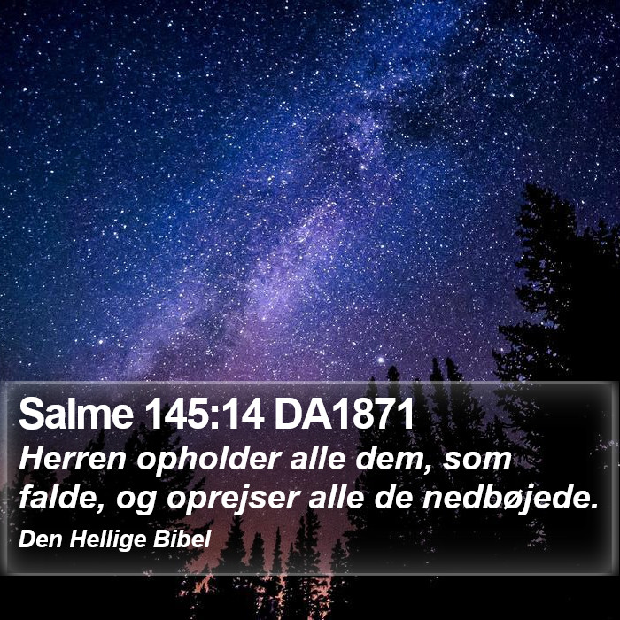 Salme 145:14 DA1871 Bible Study