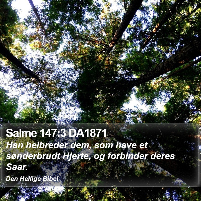 Salme 147:3 DA1871 Bible Study