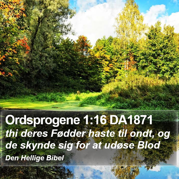 Ordsprogene 1:16 DA1871 Bible Study