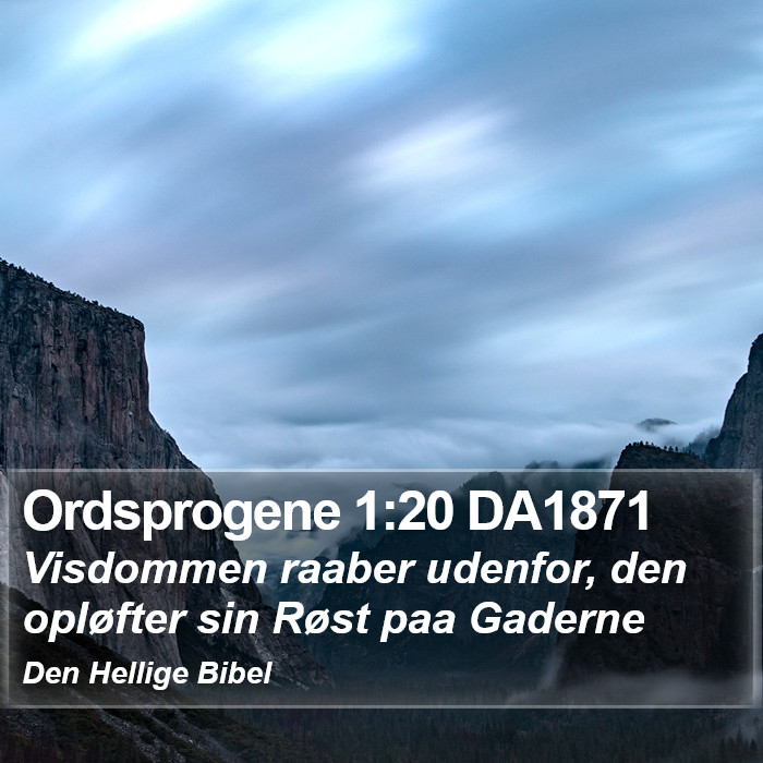 Ordsprogene 1:20 DA1871 Bible Study