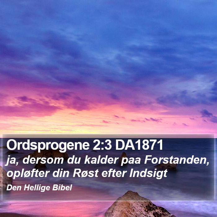 Ordsprogene 2:3 DA1871 Bible Study