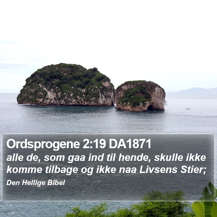 Ordsprogene 2:19 DA1871 Bible Study