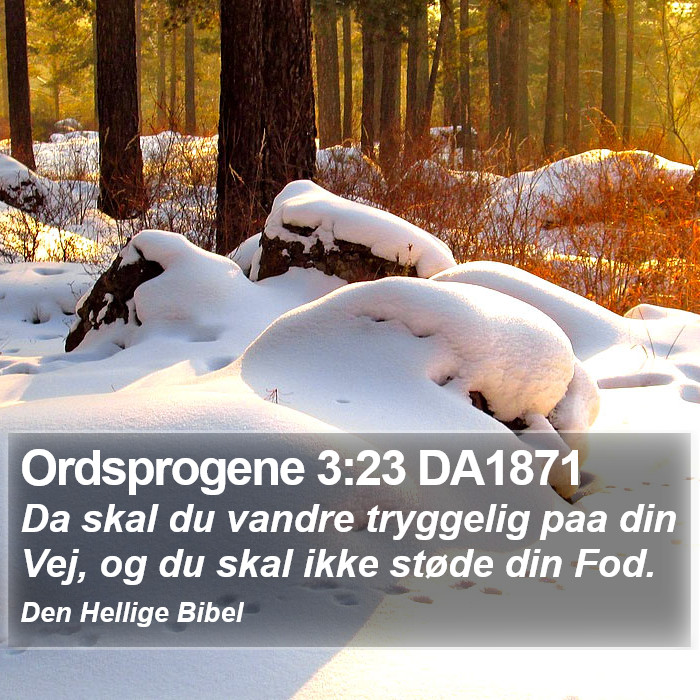 Ordsprogene 3:23 DA1871 Bible Study