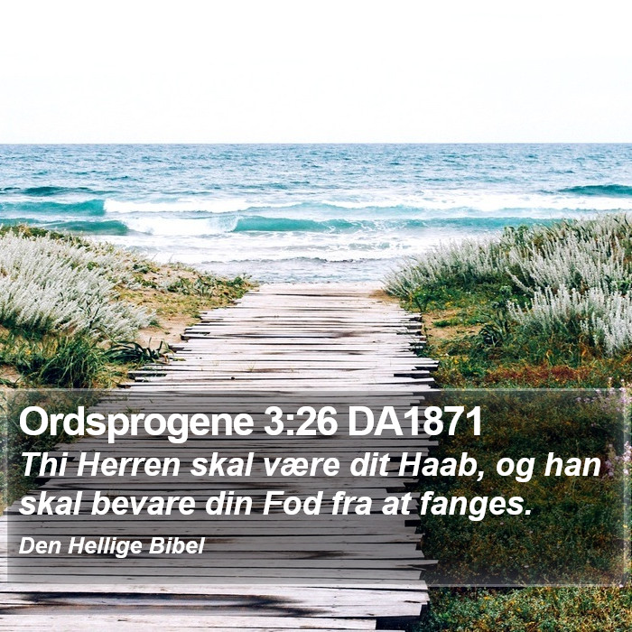 Ordsprogene 3:26 DA1871 Bible Study