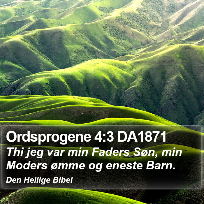 Ordsprogene 4:3 DA1871 Bible Study