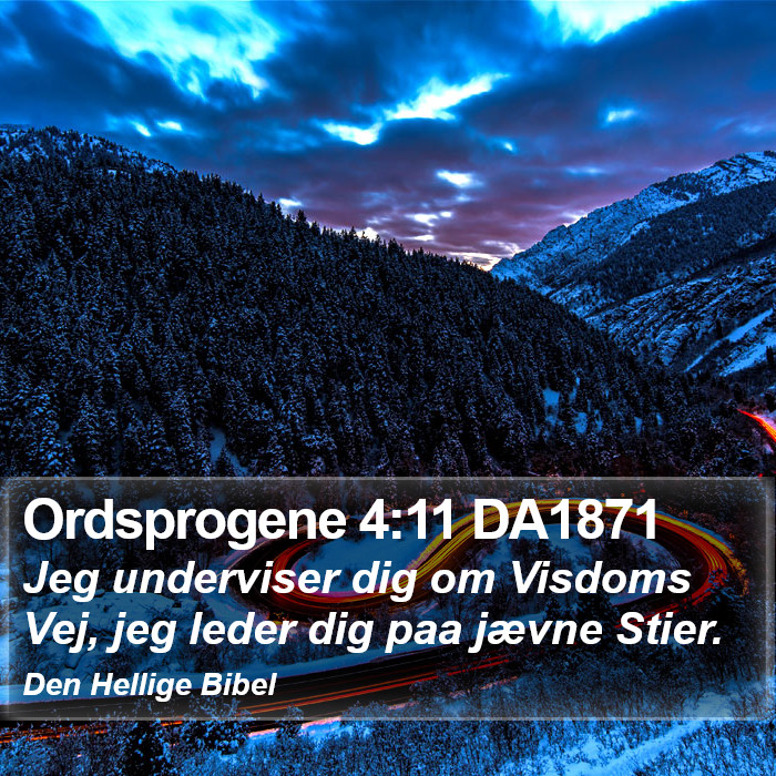 Ordsprogene 4:11 DA1871 Bible Study