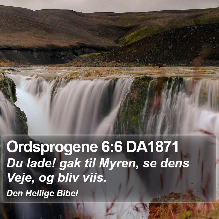 Ordsprogene 6:6 DA1871 Bible Study