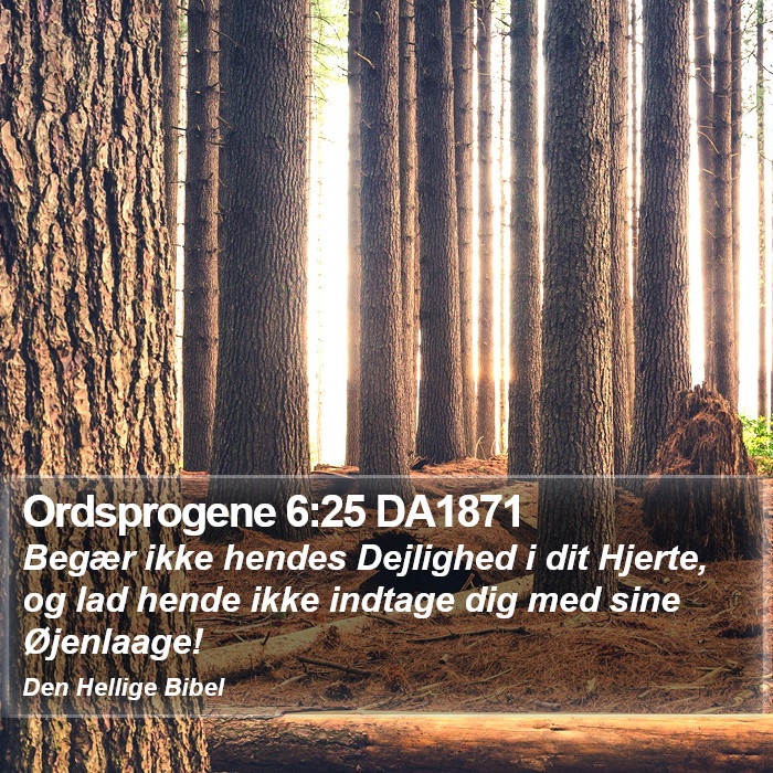 Ordsprogene 6:25 DA1871 Bible Study