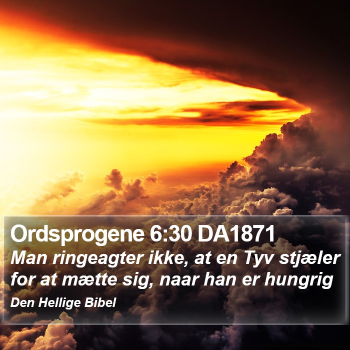 Ordsprogene 6:30 DA1871 Bible Study