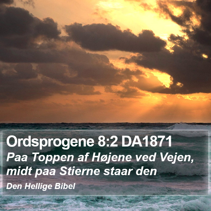 Ordsprogene 8:2 DA1871 Bible Study