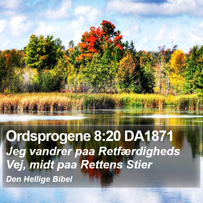 Ordsprogene 8:20 DA1871 Bible Study