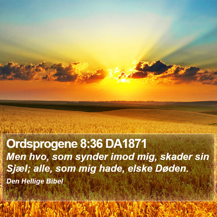 Ordsprogene 8:36 DA1871 Bible Study