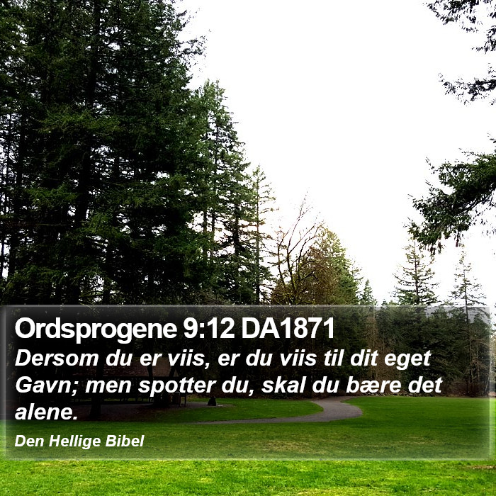 Ordsprogene 9:12 DA1871 Bible Study