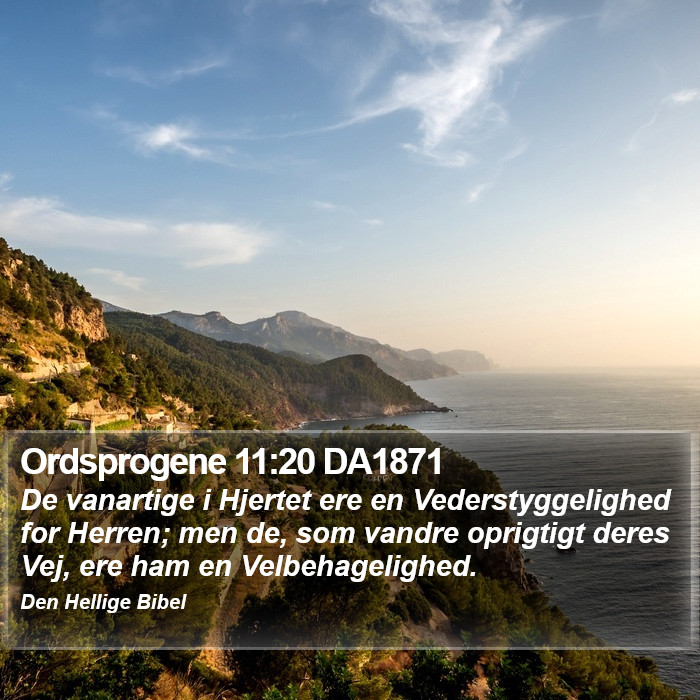 Ordsprogene 11:20 DA1871 Bible Study