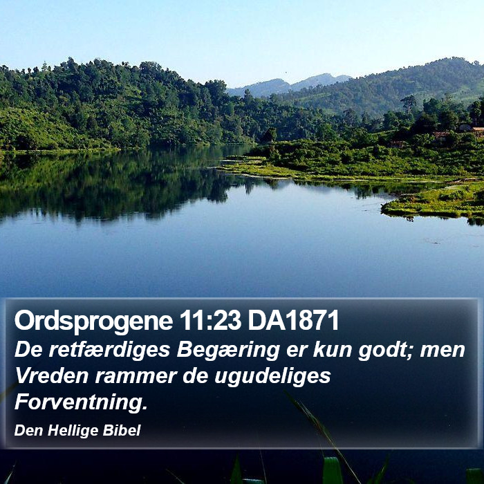 Ordsprogene 11:23 DA1871 Bible Study