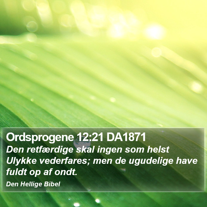 Ordsprogene 12:21 DA1871 Bible Study