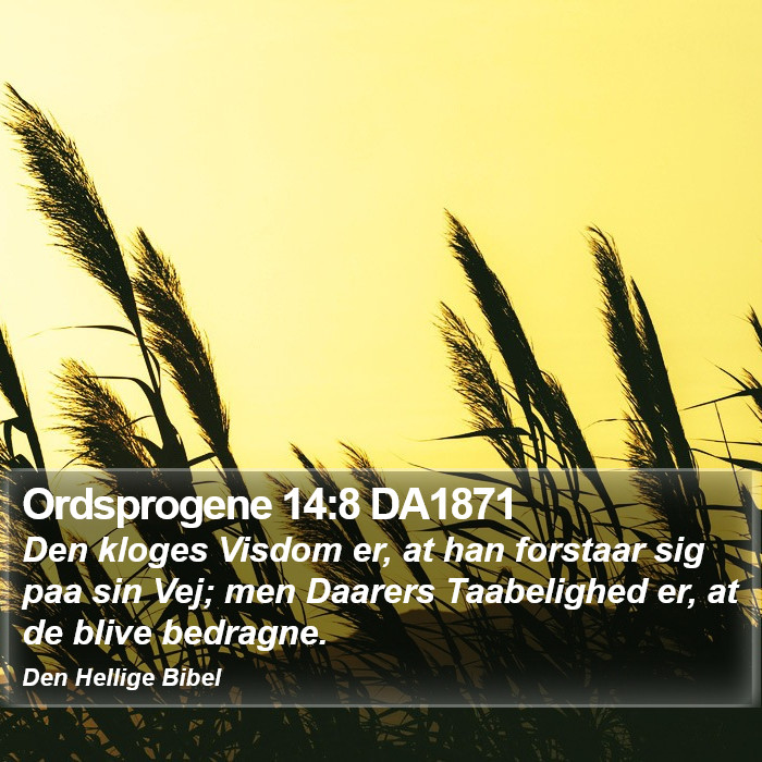 Ordsprogene 14:8 DA1871 Bible Study